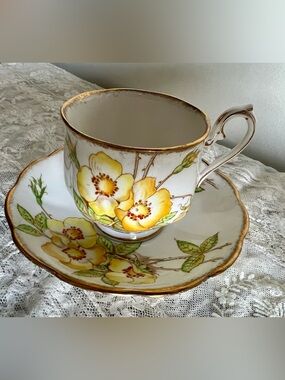 Vintage Royal Albert “Wild Rose” Teacup and Saucer